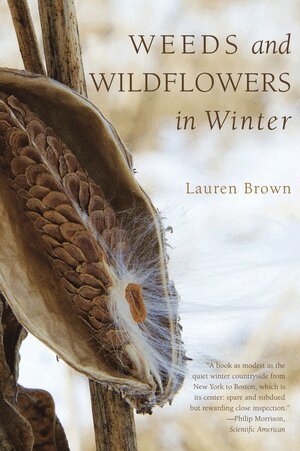 Lauren Brown - Weeds and Wildflowers in Winter, Häftad. Tillgänglighet: Lägg i varukorg