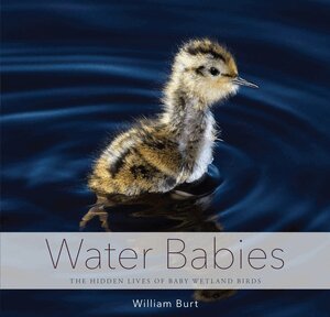 William Burt - Water Babies, Inbunden