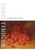 Imagination in Place