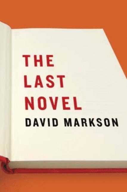 David Markson - Last Novel, E-bok