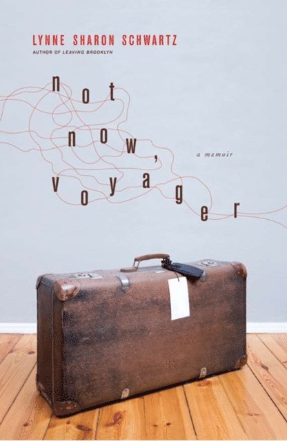 Lynne Sharon Schwartz - Not Now, Voyager, E-bok