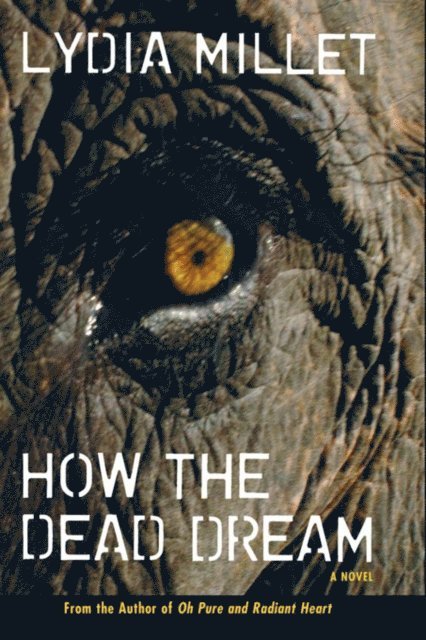 Lydia Millet - How the Dead Dream, E-bok