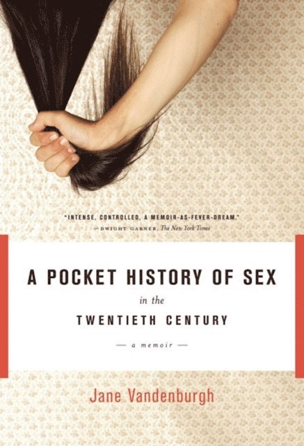 Jane Vandenburgh - Pocket History of Sex in the Twentieth Century, E-bok