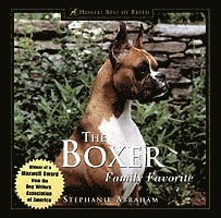 The Boxer av Stephanie Abraham
