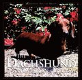 Dachshund, The