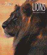 Rachael Hanel - Lions, Inbunden