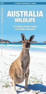 Australia Wildlife av Waterford Press