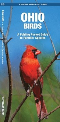 James Kavanagh, Waterford Press - Ohio Birds, Övrigt