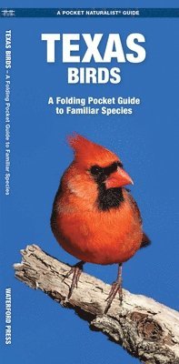 James Kavanagh, Waterford Press - Texas Birds, Övrigt