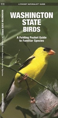 James Kavanagh, Waterford Press - Washington State Birds, Övrigt