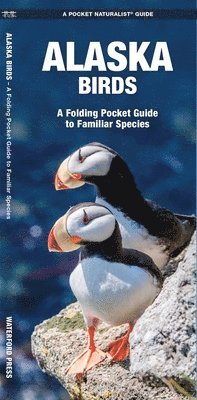 James Kavanagh, Waterford Press - Alaska Birds, Övrigt