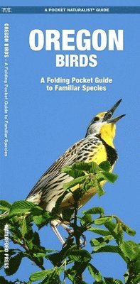James Kavanagh, Waterford Press - Oregon Birds. Tillgänglighet: Lägg i varukorg
