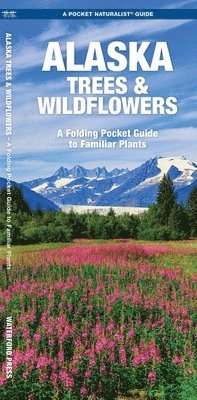 James Kavanagh, Waterford Press - Alaska Trees & Wildflowers. Tillgänglighet: Lägg i varukorg
