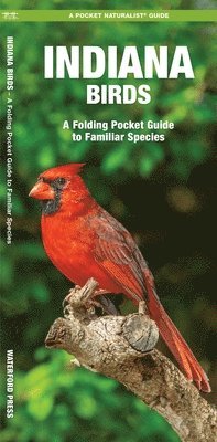 James Kavanagh, Waterford Press - Indiana Birds, Övrigt