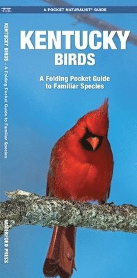 James Kavanagh, Waterford Press - Kentucky Birds, Övrigt