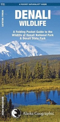 James Kavanagh, Waterford Press - Denali Wildlife. Tillgänglighet: Lägg i varukorg