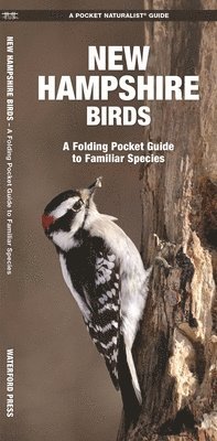 James Kavanagh, Waterford Press - New Hampshire Birds, Övrigt