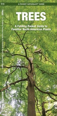 James Kavanagh, Waterford Press - Trees. Tillgänglighet: Lägg i varukorg