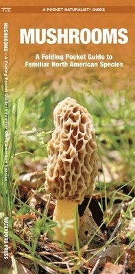 James Kavanagh, Waterford Press - Mushrooms. Tillgänglighet: Lägg i varukorg
