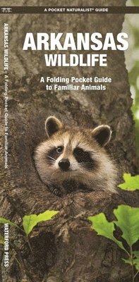 James Kavanagh, Waterford Press - Arkansas Wildlife, Övrigt