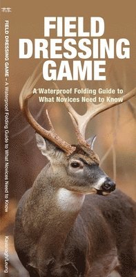 James Kavanagh, Waterford Press - Field Dressing Game, Övrigt