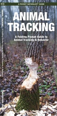 James Kavanagh, Waterford Press - Animal Tracking, Övrigt