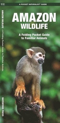 James Kavanagh, Waterford Press - Amazon Wildlife, Övrigt