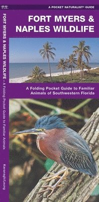 James Kavanagh, Waterford Press - Fort Myers & Naples Wildlife, Övrigt