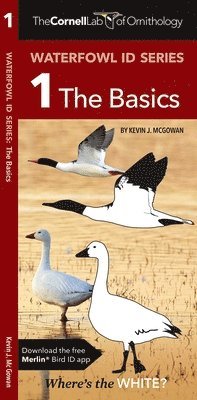 Kevin J. McGowan, Waterford Press - Cornell Lab of Ornithology Waterfowl ID 1 The Basics, Övrigt