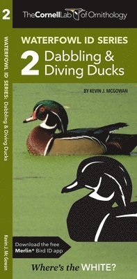 Kevin J. McGowan, Waterford Press - Cornell Lab of Ornithology Waterfowl ID 2 Dabbling & Diving Ducks, Övrigt