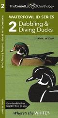 The Cornell Lab of Ornithology Waterfowl ID 2 Dabbling & Diving Ducks