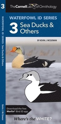 Kevin J. McGowan, Waterford Press - Cornell Lab of Ornithology Waterfowl ID 3 Sea Ducks & Others, Övrigt