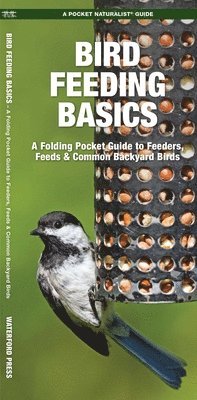 James Kavanagh, Waterford Press - Bird Feeding Basics, Övrigt