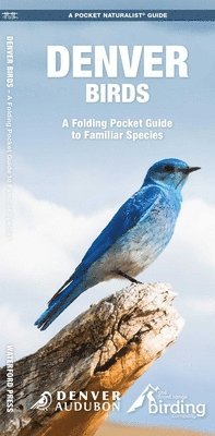 Audubon Society of Denver, James Kavanagh, Waterford Press - Denver Birds, Övrigt