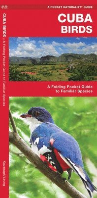 James Kavanagh, Waterford Press - Cuba Birds. Tillgänglighet: Lägg i varukorg