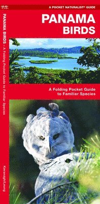 James Kavanagh, Waterford Press - Panama Birds. Tillgänglighet: Lägg i varukorg
