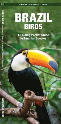 James Kavanagh, Waterford Press - Brazil Birds, Övrigt
