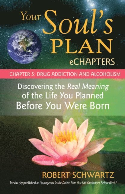 Robert Schwartz - Your Soul's Plan eChapters - Chapter 5: Drug Addiction and Alcoholism, E-bok