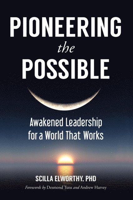 Scilla Elworthy - Pioneering the Possible, E-bok