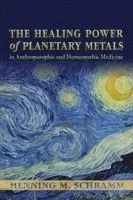Henning M. Schramm - Healing Power of Planetary Metals in Anthroposophic and Homeopathic Medicine, Häftad. Tillgänglighet: Lägg i varukorg