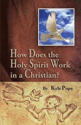 Kyle Pope - How Does the Holy Spirit Work in a Christian?, Häftad. Tillgänglighet: Lägg i varukorg