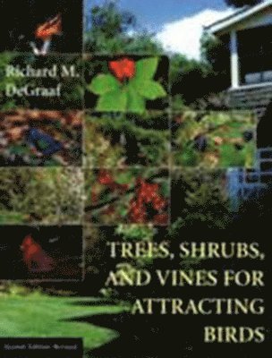 Richard M. DeGraaf - Trees, Shrubs, and Vines for Attracting Birds, Häftad. Tillgänglighet: Kommande