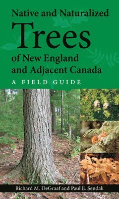 Paul E. Sendak, Richard DeGraaf - Native and Naturalized Trees of New England and Adjacent Canada, Häftad. Tillgänglighet: Kommande