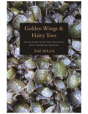 Todd McLeish - Golden Wings & Hairy Toes, Inbunden. Tillgänglighet: Tillfälligt slut