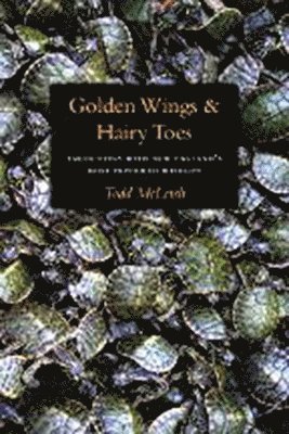 Todd McLeish - Golden Wings & Hairy Toes, Häftad. Tillgänglighet: Tillfälligt slut