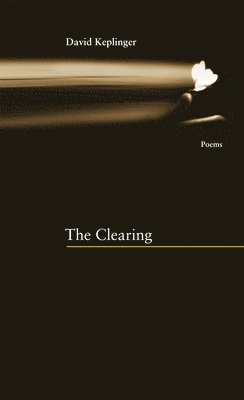 Matthew McKenzie - Clearing the Coastline, Häftad. Tillgänglighet: Tillfälligt slut