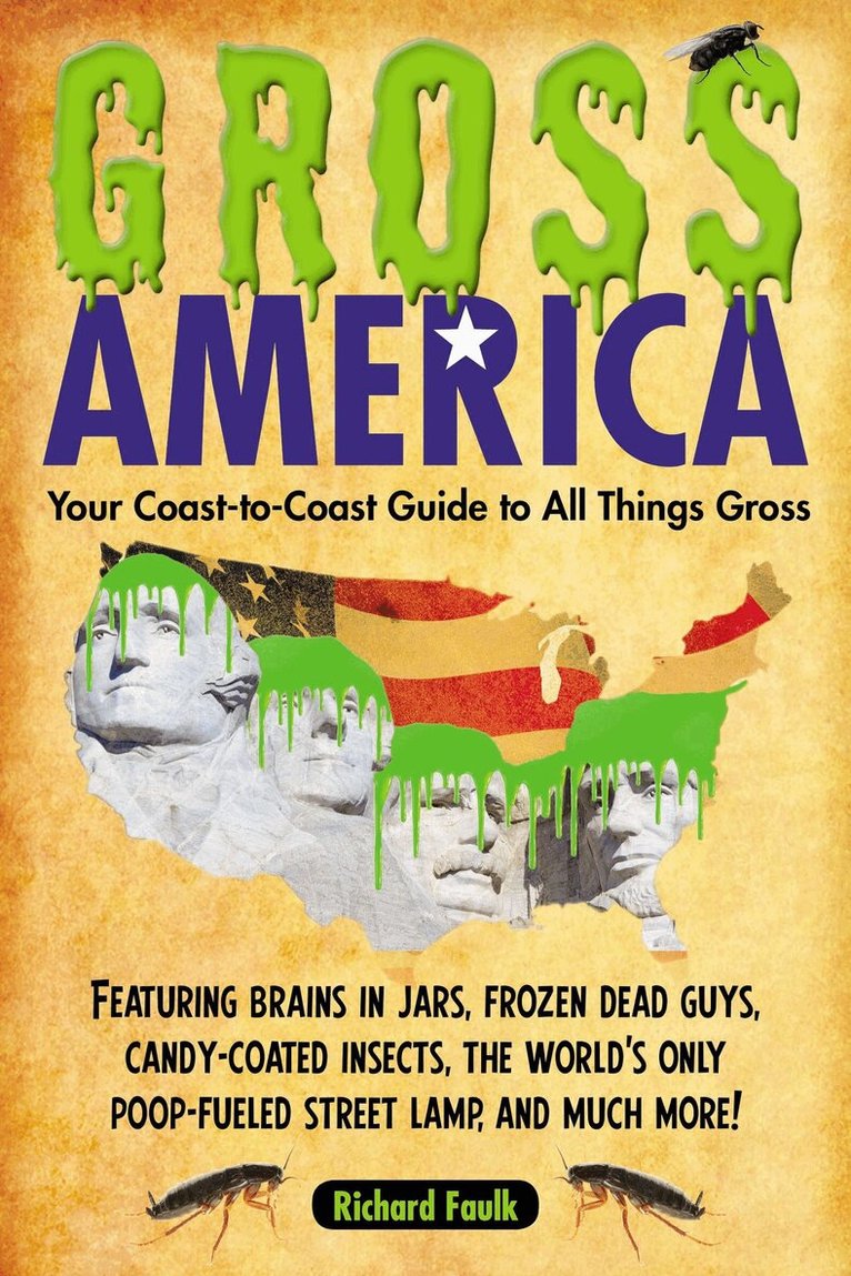 Richard Faulk - Gross America, Häftad