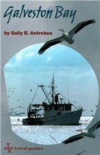 Sally Antrobus - Galveston Bay, Inbunden. Tillgänglighet: Tillfälligt slut