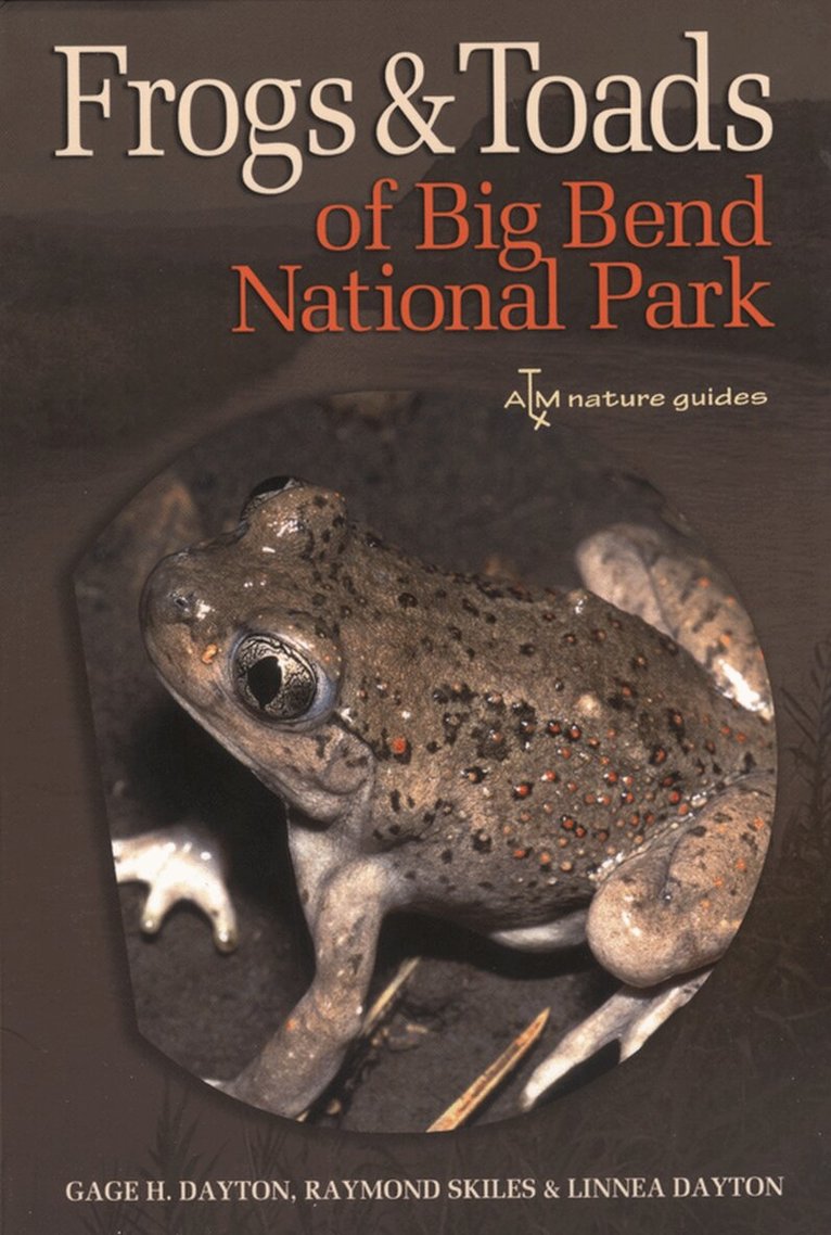 Gage H. Dayton, Raymond Skiles, Linnea Dayton - Frogs and Toads of Big Bend National Park, Häftad. Tillgänglighet: Tillfälligt slut