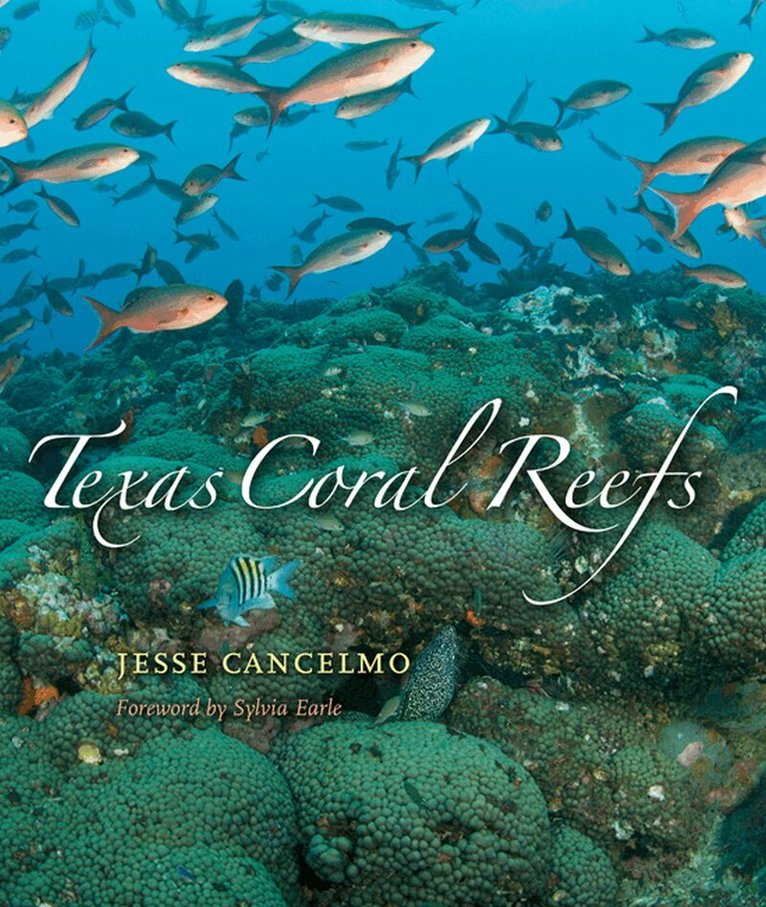 Jesse Cancelmo - Texas Coral Reefs, Inbunden. Tillgänglighet: Tillfälligt slut